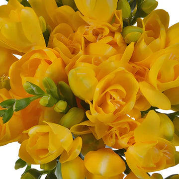 Sweet Pea Yellow Flower Seeds for Planting