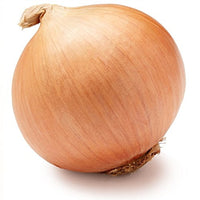 Sweet Yellow Onion Plants Growing in Home Garden