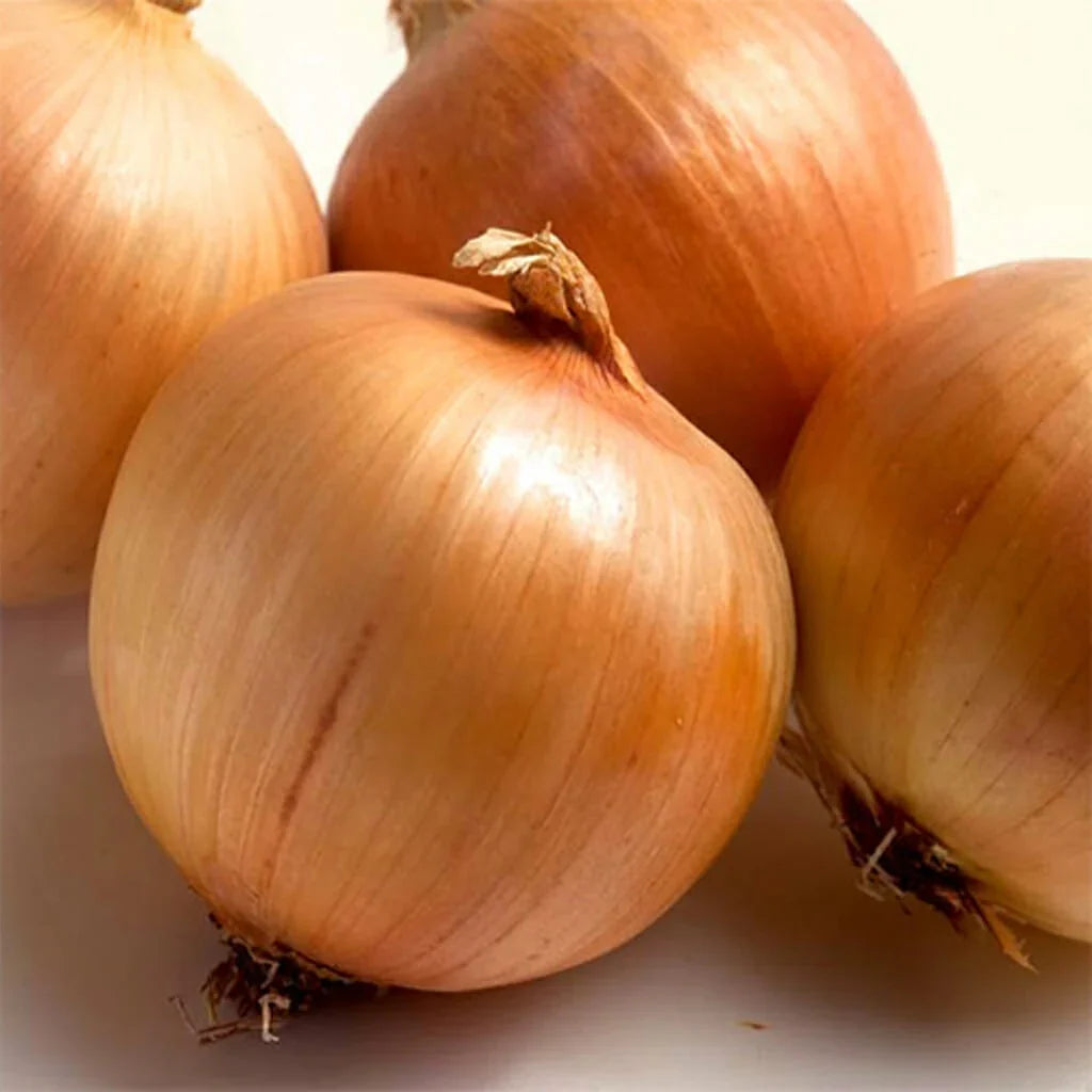 Sweet Yellow Onion Seeds for Planting