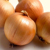 Sweet Yellow Onion Seeds for Planting