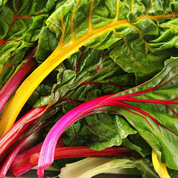 Swiss Chard 'Bright Lights' Seeds - Colorful Leafy Vegetable Plants for Garden Beds and Containers