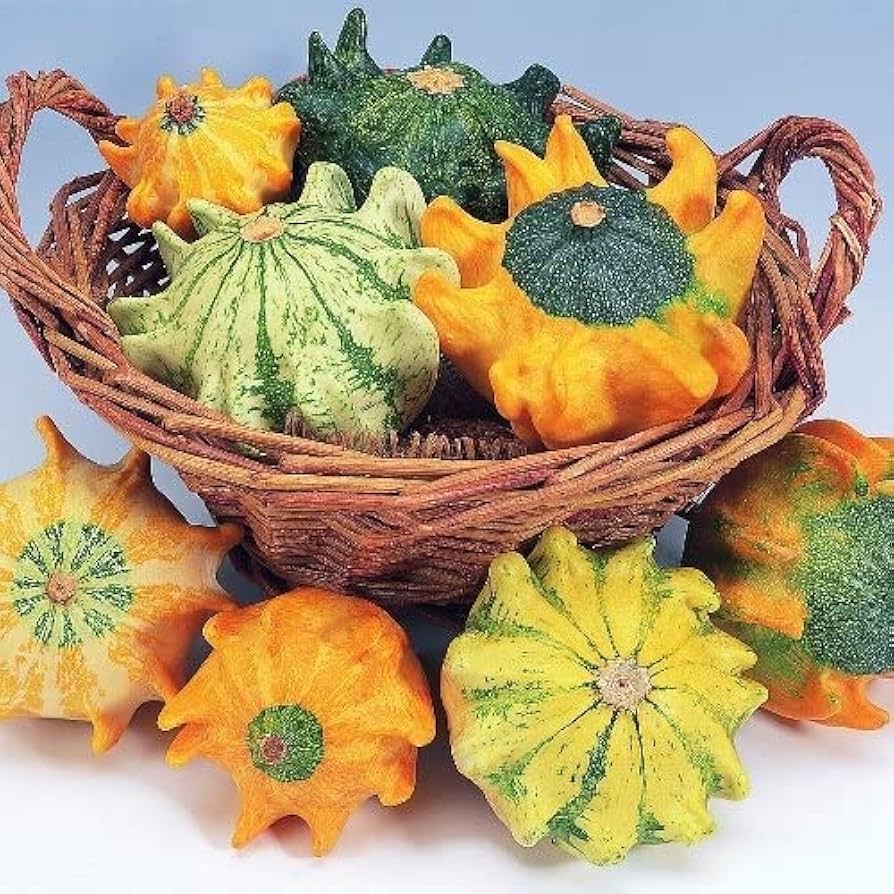 Thorn Pumpkin seeds for planting in home gardens