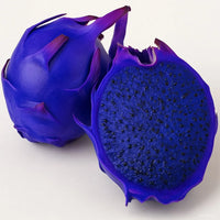 Sky Blue Pitaya seeds for growing a tropical climbing fruit plant.