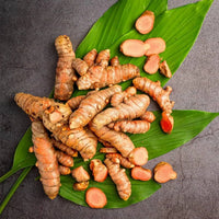 Turmeric planting rhizomes for tropical garden and patio growing.