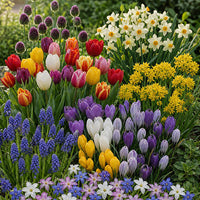 Perennial flower bulbs for garden beds, borders, and containers.