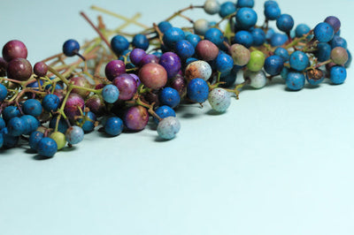 100 Pcs