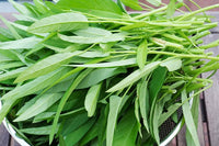 Water Spinach growing in a raised garden bed with healthy green foliage.