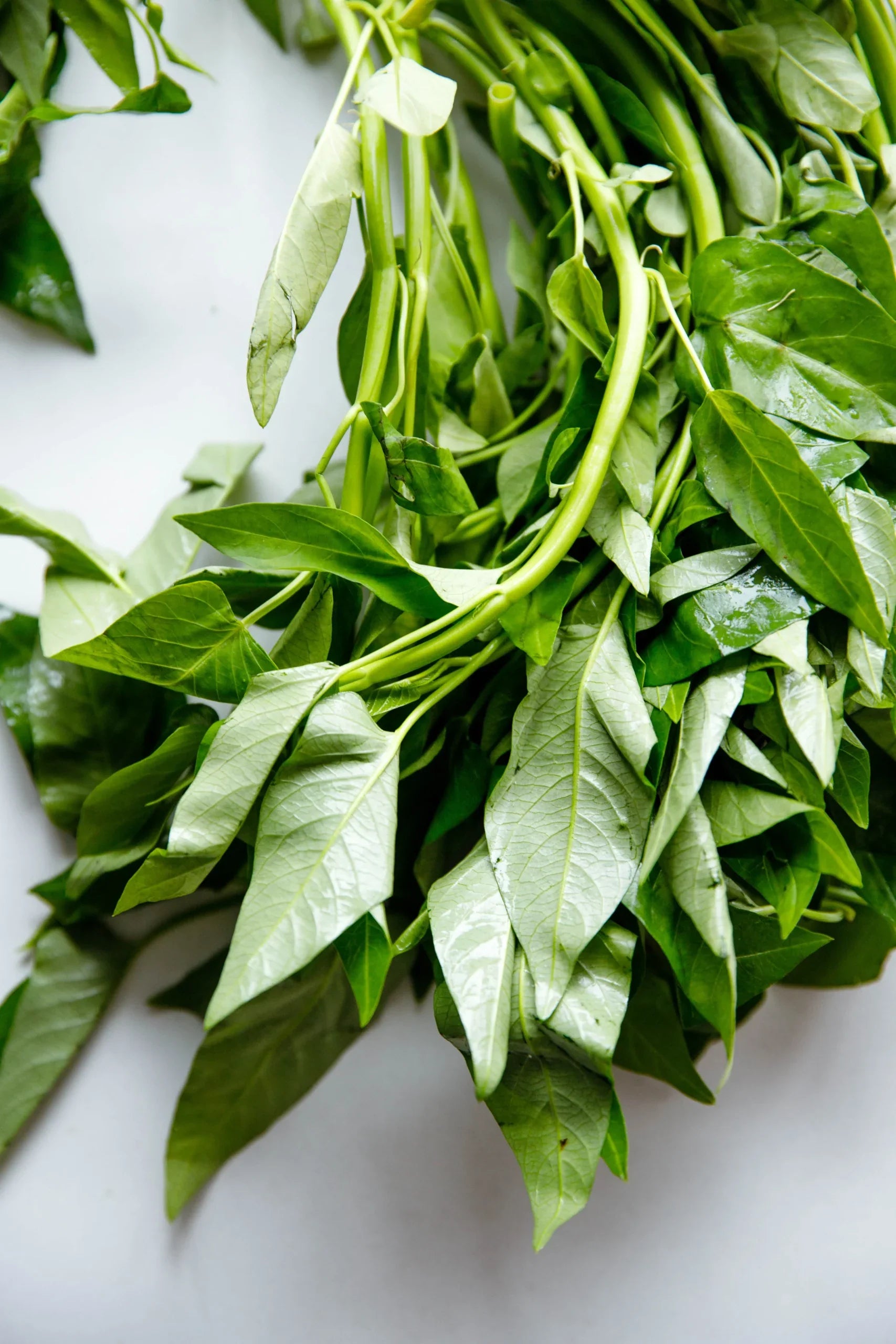 Water Spinach vegetable seeds suitable for containers and raised garden beds