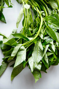 Water Spinach vegetable seeds suitable for containers and raised garden beds