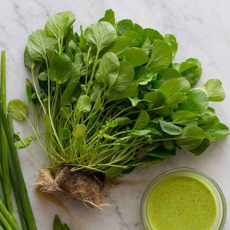 Watercress Nasturtium officinale seeds for home gardening