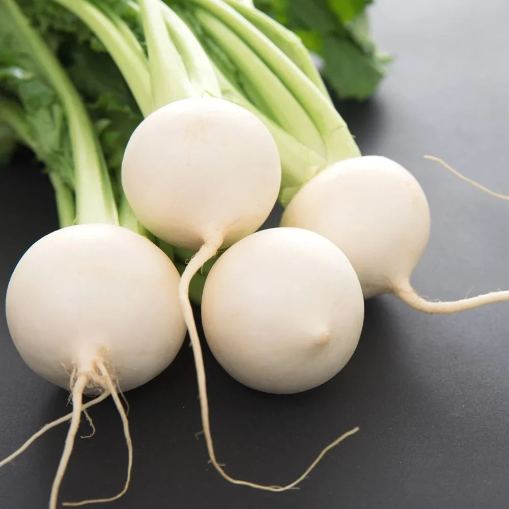 White Globe Round Turnip Seeds for Planting – Heirloom Non-GMO Root Vegetable Seeds
