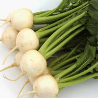 White Globe Round Turnip Seeds for Planting – Heirloom Non-GMO Root Vegetable Seeds