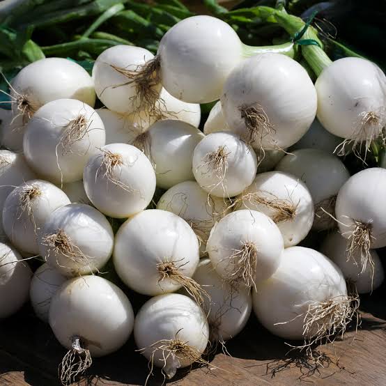 White Paris Silver Skin onion seeds suitable for kitchen garden growing