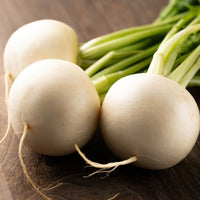 White Globe Round Turnip Seeds for Planting – Heirloom Non-GMO Root Vegetable Seeds