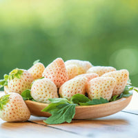 White Soul Strawberry (Fragaria vesca) Fruit Flower Berry Seeds