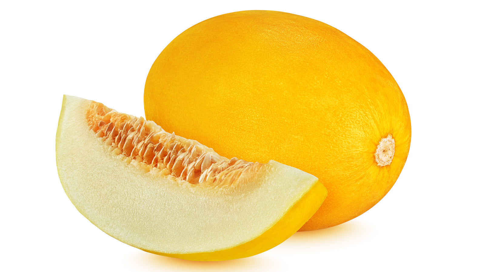 Yellow melon seed germination and planting guide