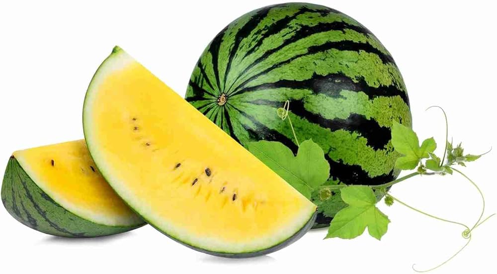 Yellow watermelon seedlings sprouting from organic seeds
