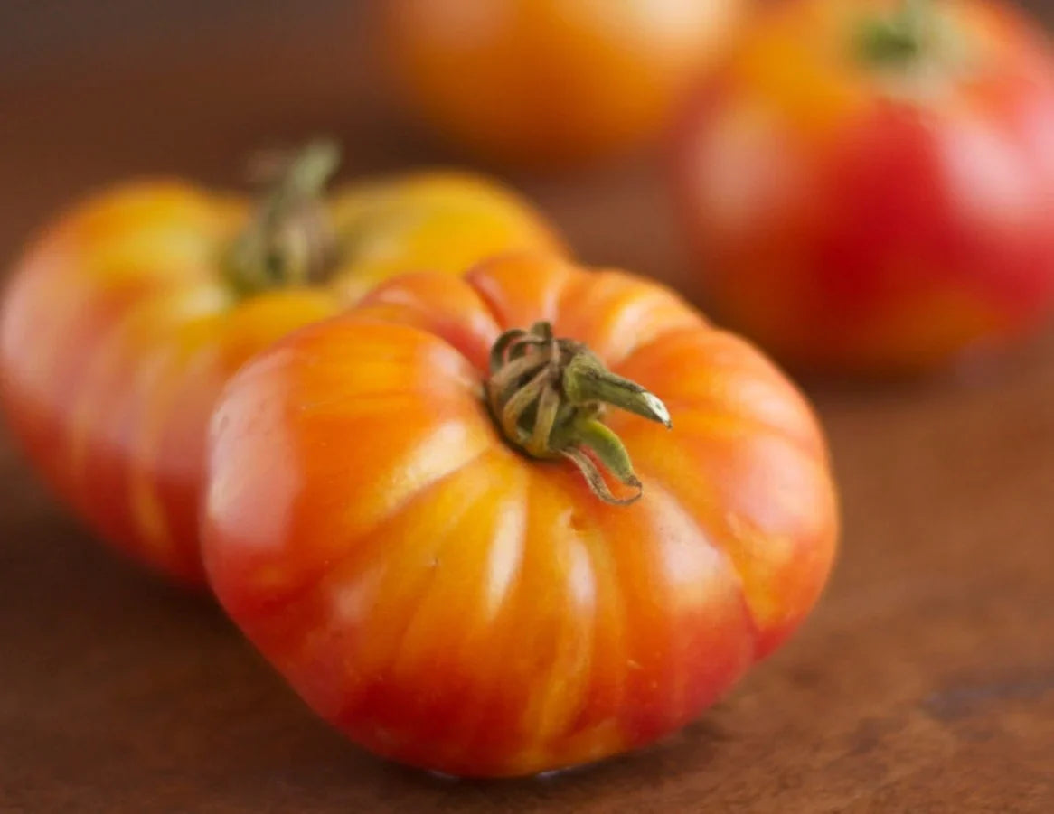 Seedlings of Big Huge Orange Tomato growing healthy and strong