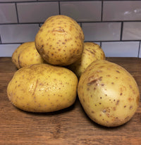 Yukon Gold Potato Plants Growing in Garden