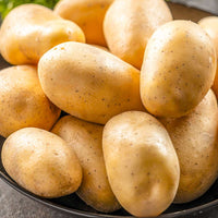 Yukon Gold Potato Seeds for Planting